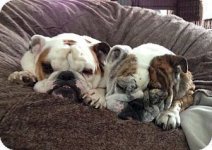 abbie&tillie.jpg abbie&tillie.jpg