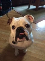 rudy.webp