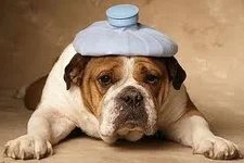 hangover.webp
