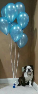 uploadfromtaptalk1405789987232.webp uploadfromtaptalk1405789987232.webp