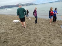 Crissy Field 07-19-2014 014.jpg