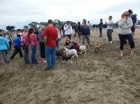 Crissy Field 07-19-2014 015.jpg