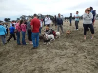 Crissy Field 07-19-2014 015.webp