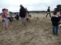 Crissy Field 07-19-2014 016.jpg