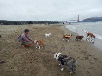 Crissy Field 07-19-2014 019.jpg