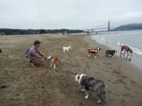 Crissy Field 07-19-2014 019.webp