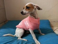 Petras Pics 283.jpg Petras Pics 283.jpg