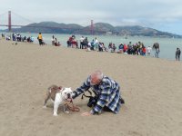 Crissy Field 07-19-2014 024.jpg