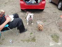 Crissy Field 07-19-2014 026.webp