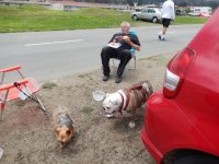 Crissy Field 07-19-2014 027.jpg