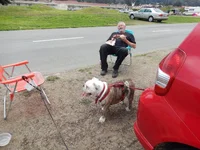 Crissy Field 07-19-2014 028.webp