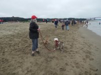 Crissy Field 07-19-2014 001.jpg