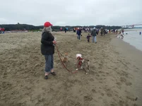 Crissy Field 07-19-2014 001.webp Crissy Field 07-19-2014 001.webp