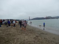 Crissy Field 07-19-2014 003.jpg