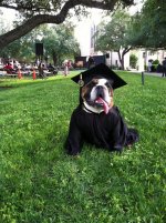 TLU May Commencement 2013.jpg