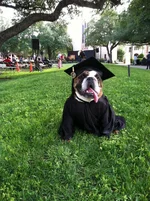 TLU May Commencement 2013.webp