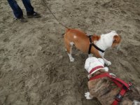 Crissy Field 07-19-2014 004.jpg