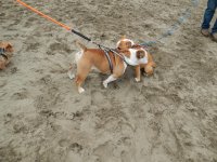 Crissy Field 07-19-2014 005.jpg