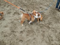 Crissy Field 07-19-2014 005.jpg