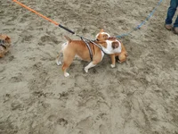 Crissy Field 07-19-2014 005.webp Crissy Field 07-19-2014 005.webp