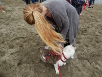 Crissy Field 07-19-2014 007.jpg