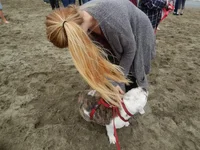 Crissy Field 07-19-2014 007.webp Crissy Field 07-19-2014 007.webp
