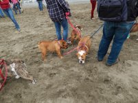 Crissy Field 07-19-2014 008.jpg