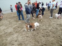 Crissy Field 07-19-2014 010.jpg