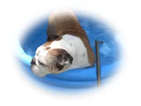 Roamer Cooling Down after Workout.webp