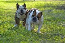 DSC_0206.webp