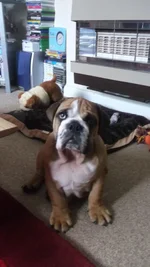 DSCF2642.webp