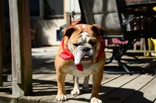 DSC_1649.webp