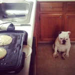 photo(1).webp