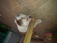 20140302_124356.jpg