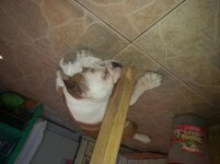 20140302_124356.jpg