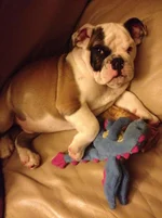 photo(6).webp