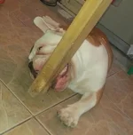 20140302_123918-1.webp