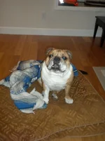 DSCN5368.webp