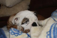 IMG_0695.webp IMG_0695.webp