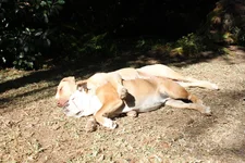 IMG_0718.webp IMG_0718.webp