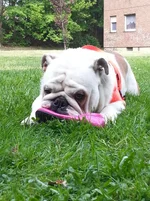 2014-05-07 16.43.37.webp