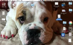 Screen Shot 2014-03-02 at 6.05.09 PM.webp