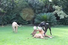 IMG_0418.webp IMG_0418.webp