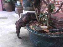 IMG_20000207_054332.webp
