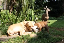 IMG_0438.webp IMG_0438.webp