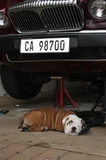 IMG_0452.webp IMG_0452.webp