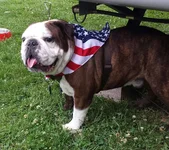 20140703_140653-1[1].webp