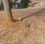1902890_1411414769115810_749408141_n.webp