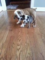 1907559_1410766935847260_1678665239_n.webp