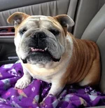ella.webp